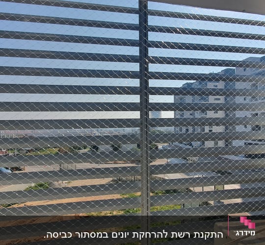 דוד שמש עם רשת למניעת כניסת יונים